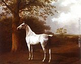Jacques-Laurent Agasse White Horse in Pasture painting